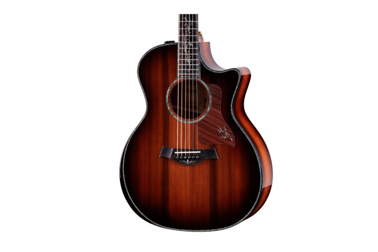 Taylor PS14ce Figured Urban Ironbark / Redwood