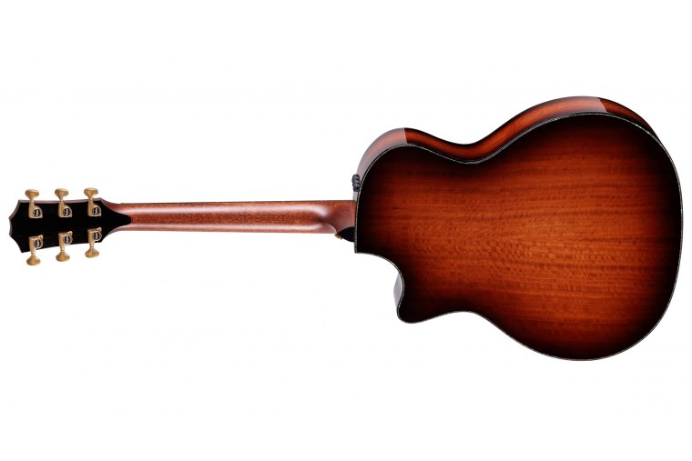 Taylor PS14ce Figured Urban Ironbark / Redwood