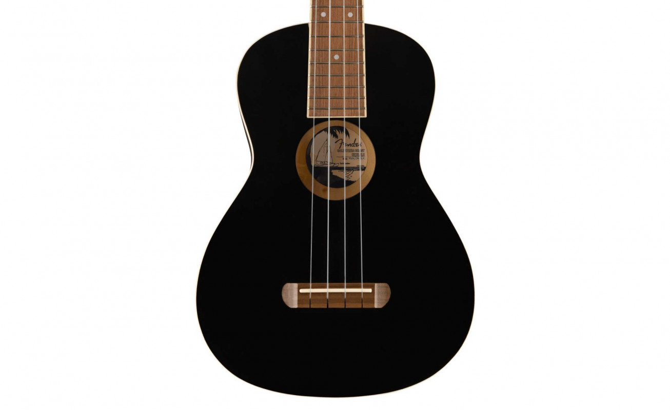 楽天最安値に挑戦】 Fender Acoustics Avalon Tenor Ukulele Black somardistribuidora.com