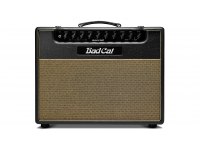 Bad Cat Black Cat 1x12 Combo