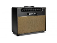 Bad Cat Black Cat 1x12 Combo