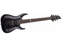 ESP Ltd H-1007 - STBK