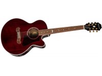 Epiphone EJ-200 Coupe - WR