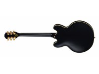 Epiphone Emily Wolfe Sheraton Stealth