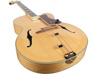 Epiphone Emperor Regent