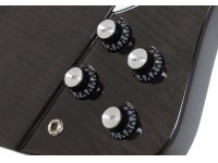 Epiphone Limited Edition Slash Firebird