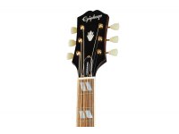 Epiphone Hummingbird - AN