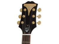 Epiphone Wildkat Royale