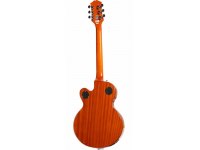 Epiphone Wildkat - SO