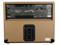 Fender Acoustasonic 100