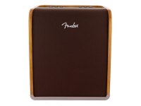 Fender Acoustic SFX