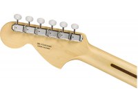 Fender American Performer Stratocaster - RW AWT