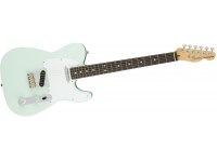 Fender American Performer Telecaster - RW SBL