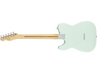 Fender American Performer Telecaster - RW SBL