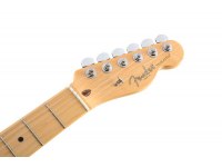 Fender American Professional Telecaster Ash MN - NT