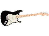 Fender American Professional Stratocaster MN - BK