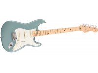 Fender American Professional Stratocaster MN - SNG