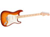 Fender American Professional Stratocaster MN - SSB