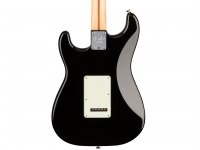 Fender American Professional Stratocaster RW - BK