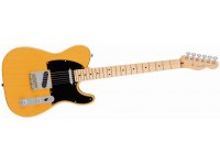 Fender American Professional Telecaster Ash MN - BB
