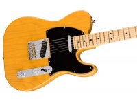 Fender American Professional Telecaster Ash MN - BB