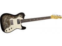 Fender Custom 1972 Telecaster Thinline Journeyman Relic - ABP