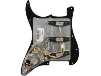 Fender Custom Fat 50's Pre-Wired Stratocater Pickguard SSS - BK