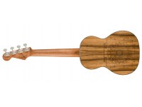 Fender Dhani Harrison Ukulele - TQ