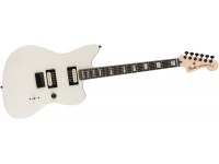 Fender Jim Root Jazzmaster V4