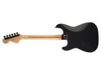 Fender Jim Root Stratocaster