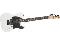 Fender Jim Root Telecaster