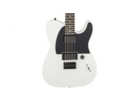 Fender Jim Root Telecaster