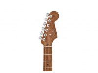 Fender Limited Edition American Professional Stratocaster HSS Roasted