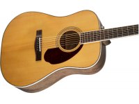 Fender PM-1 Standard Dreadnought - NA