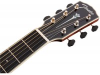 Fender PM-1 Limited Edition Adirondack Rosewood Dreadnought