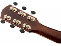 Fender PM-1 Limited Edition Adirondack Rosewood Dreadnought