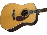 Fender PM-1 Deluxe Dreadnought - NA