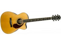 Fender PM-3 Deluxe Triple 0 - NA