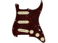 Fender Custom Fat 50's Pre-Wired Stratocater Pickguard SSS - TO