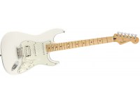 Fender Player Stratocaster HSS - MN PWT