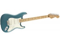 Fender Player Stratocaster - MN TPL