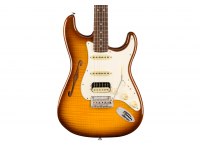 Fender Rarities Stratocaster Thinline HSS Solid Rosewood Neck