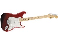 Fender Standard Stratocaster - MN CAR