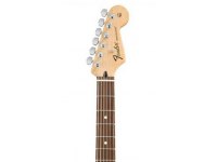 Fender Standard Stratocaster - RW LPB