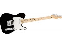 Fender Standard Telecaster - MN BK