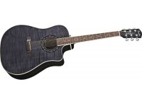 Fender T-Bucket 300CE - TBK