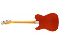 Fender Telecaster Mike Campbell Red Dog Stories Collection