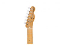 Fender Vintera '70s Telecaster Thinline - AGN