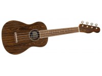 Fender Zuma Exotic Concert Ukulele - BO