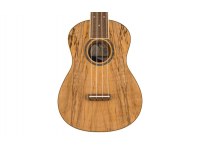 Fender Zuma Exotic Concert Ukulele - SM